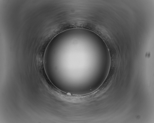 X0000097650040200802291500