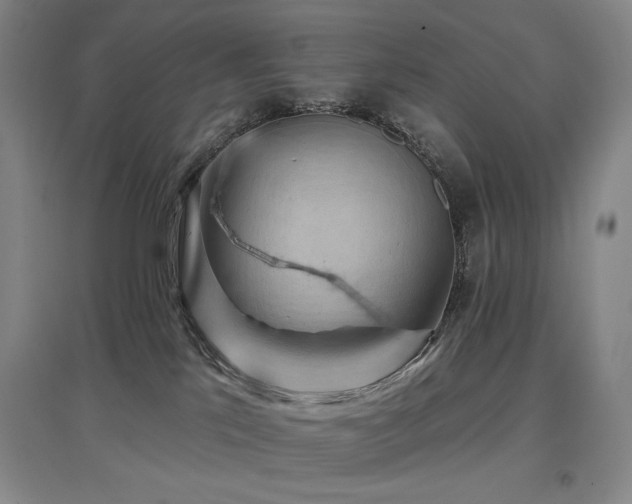 X0000097650041200802291500