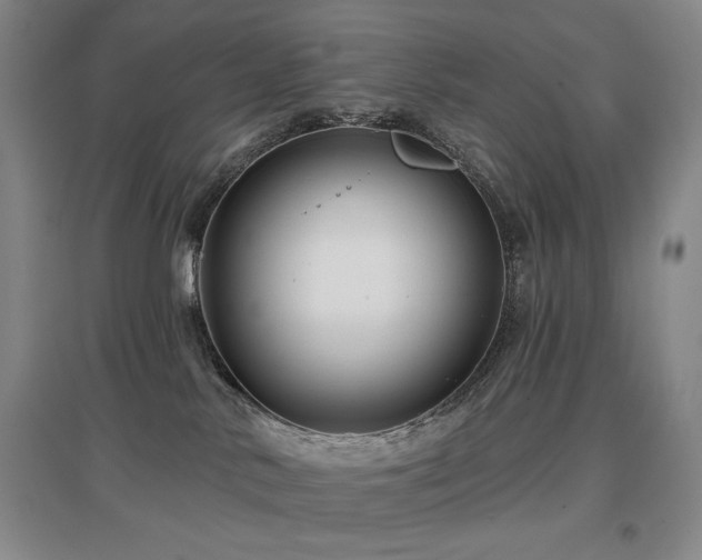 X0000097650042200802291500