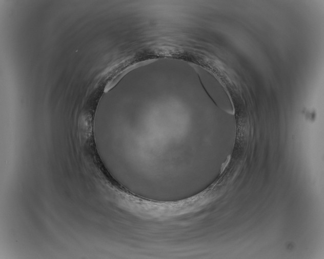 X0000097650043200802291500