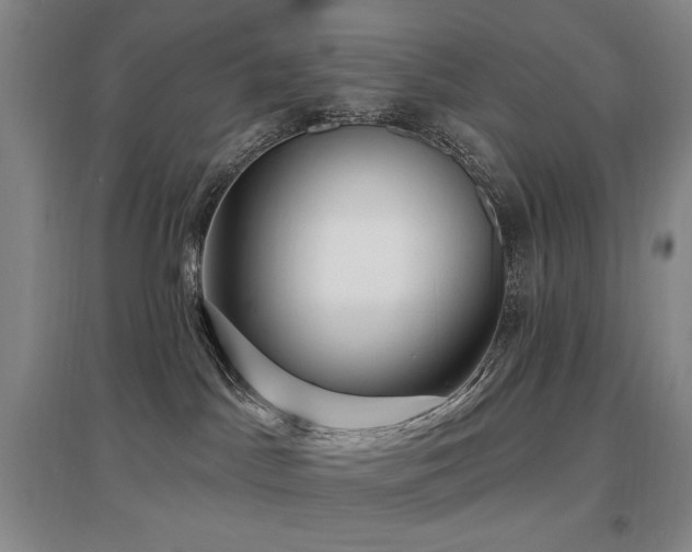 X0000097650045200802291500