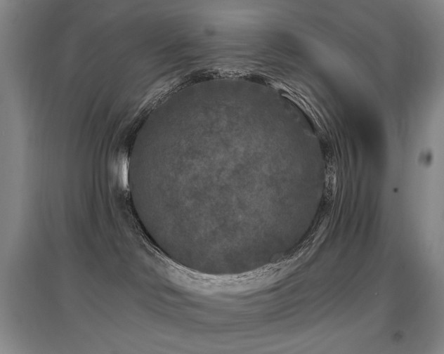 X0000097650046200802291500