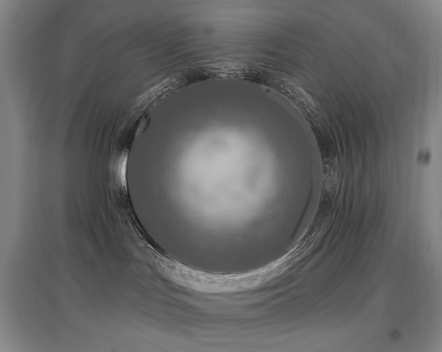 X0000097650047200802291500