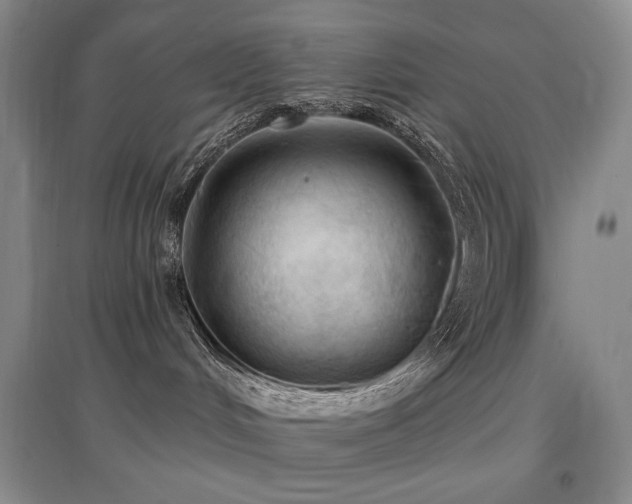 X0000097650048200802291500