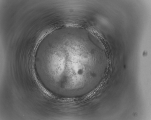 X0000097650049200802291459