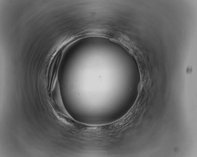 X0000097650050200802291459