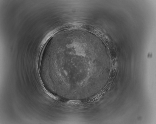 X0000097650051200802291459