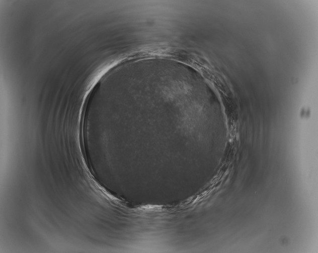 X0000097650052200802291459