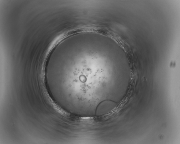 X0000097650053200802291459