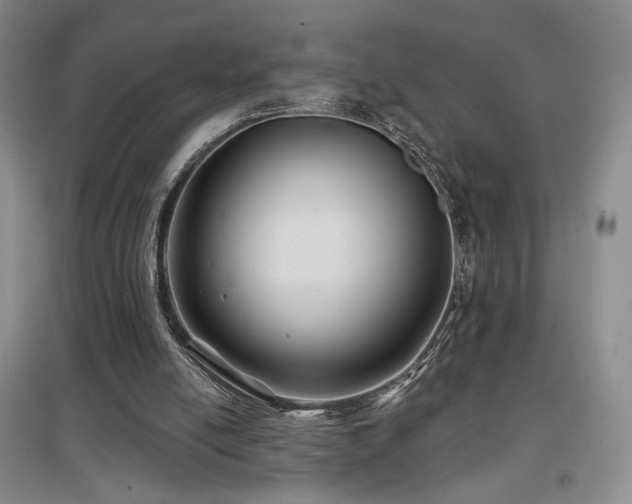 X0000097650054200802291459