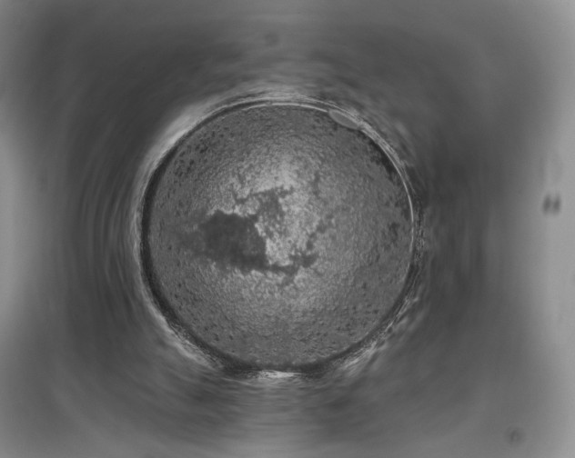 X0000097650055200802291459