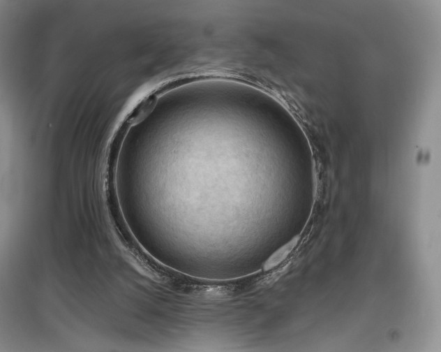 X0000097650056200802291459