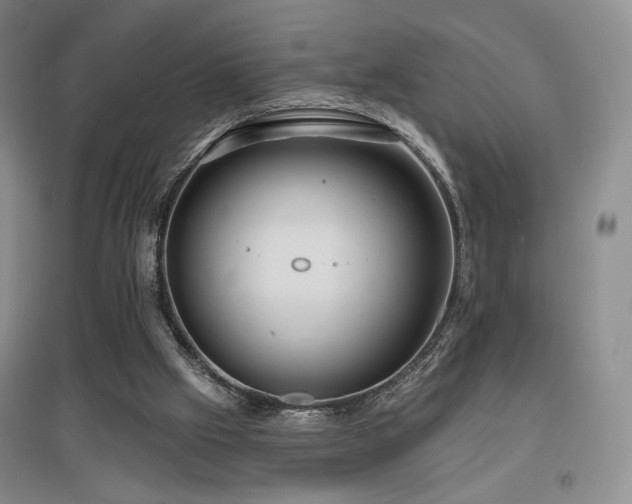 X0000097650057200802291459