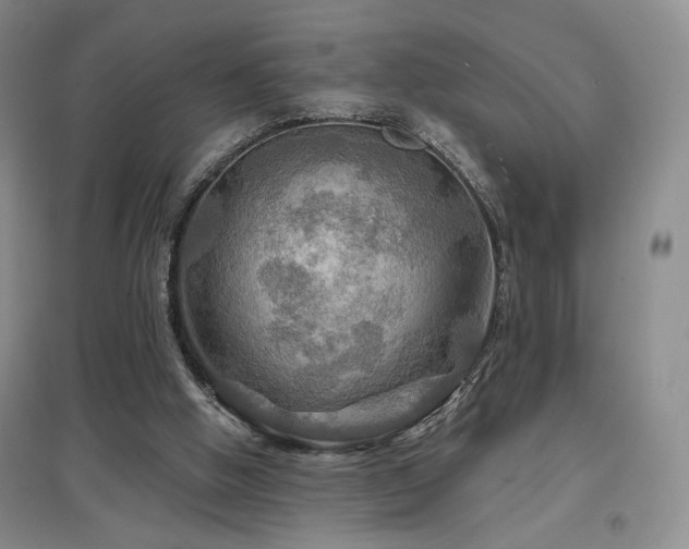 X0000097650058200802291459