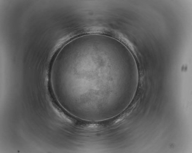 X0000097650059200802291459