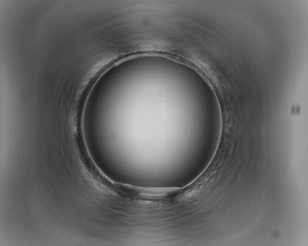 X0000097650060200802291459