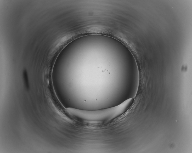 X0000097650062200802291459