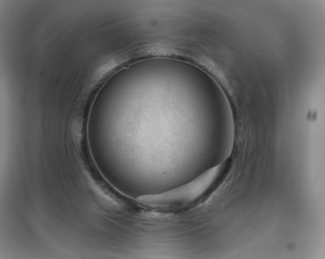 X0000097650063200802291459