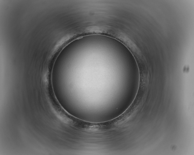 X0000097650064200802291459