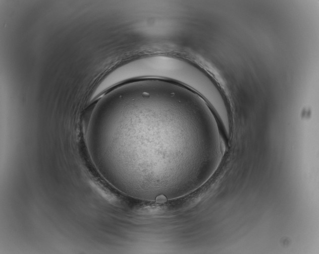 X0000097650065200802291459