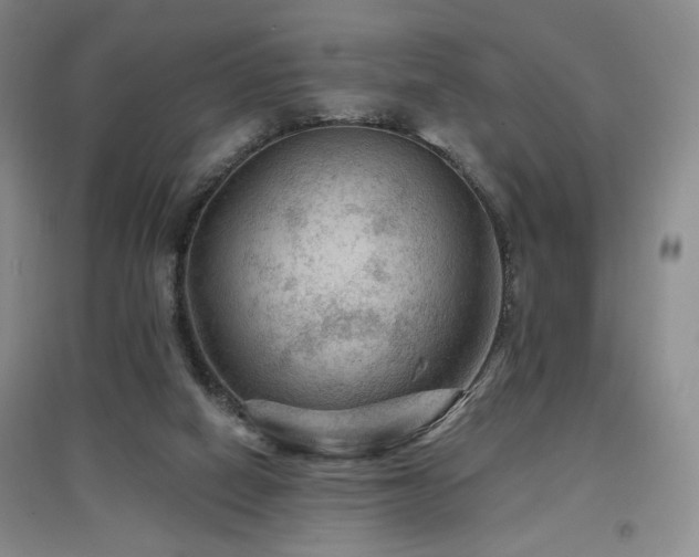 X0000097650066200802291459