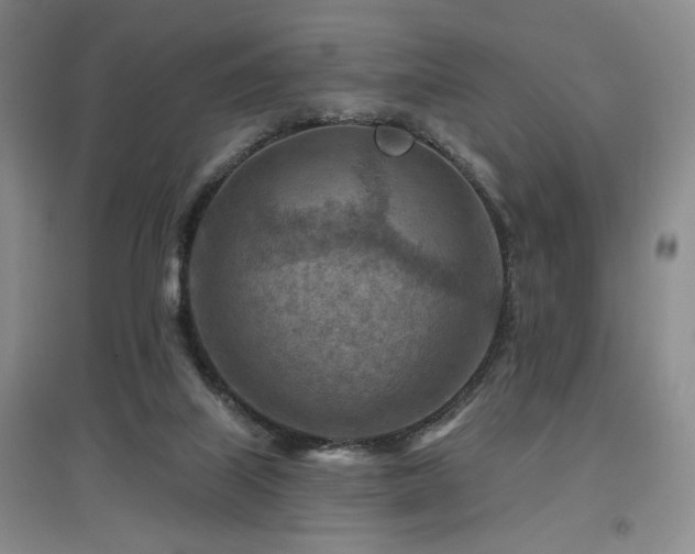 X0000097650067200802291459