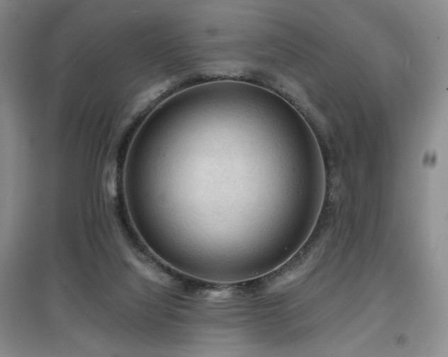 X0000097650068200802291459