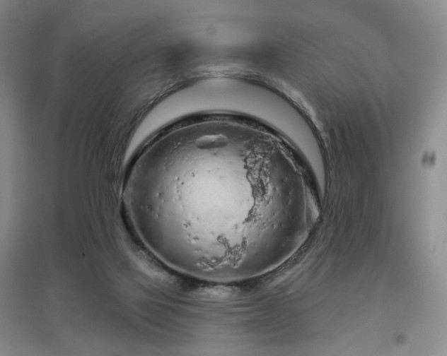 X0000097650069200802291459