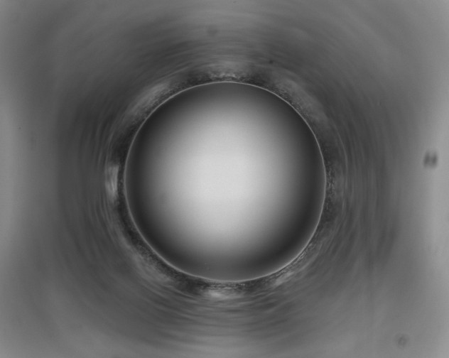 X0000097650070200802291459