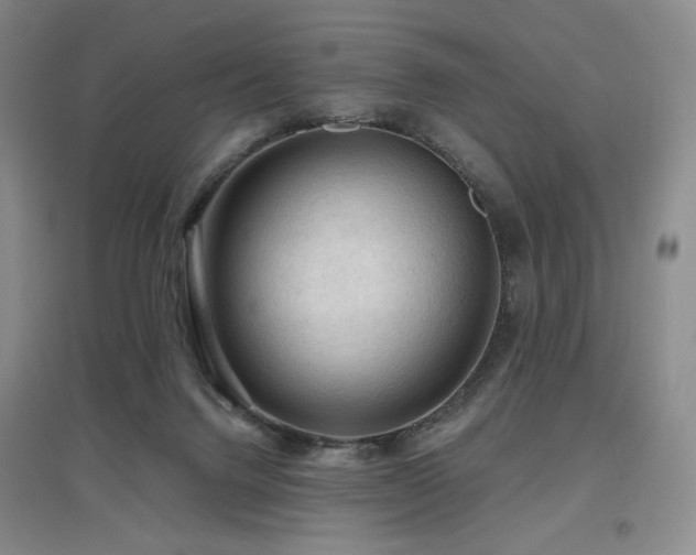 X0000097650072200802291459