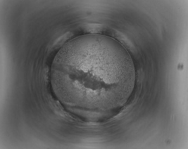 X0000097650073200802291459