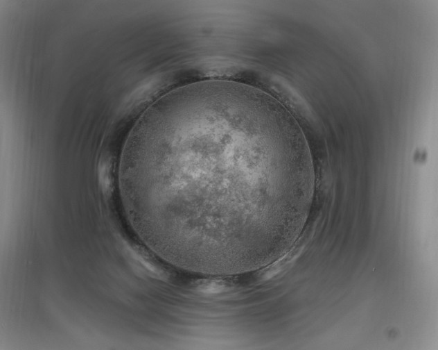 X0000097650074200802291459