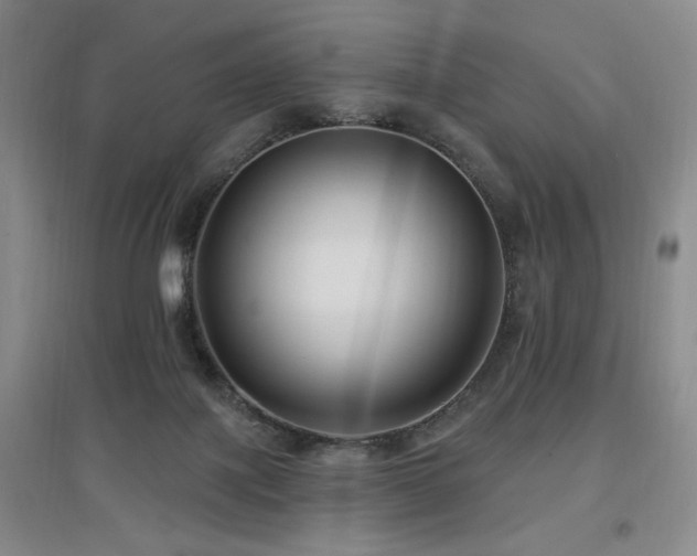 X0000097650075200802291459