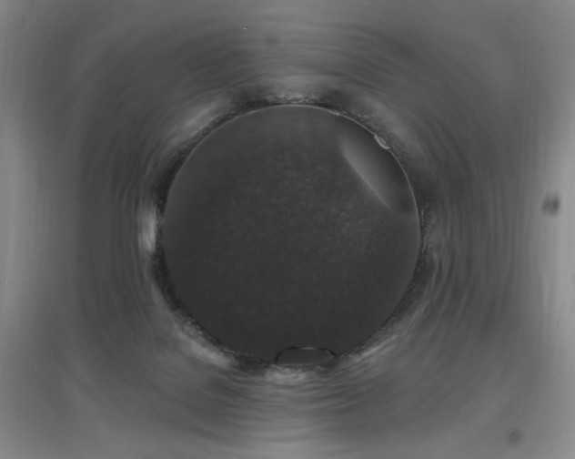 X0000097650076200802291500