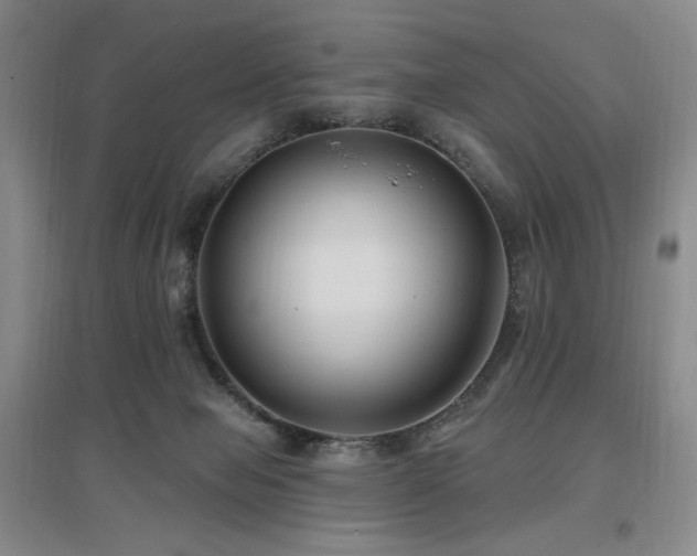 X0000097650077200802291500