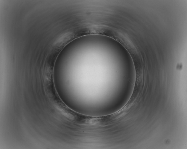 X0000097650078200802291500