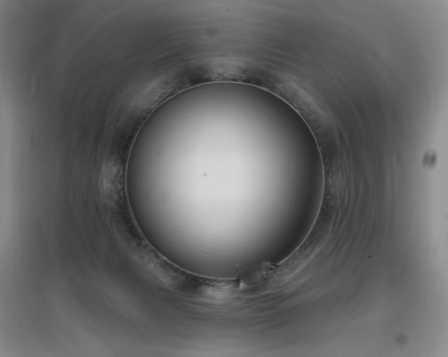 X0000097650079200802291500