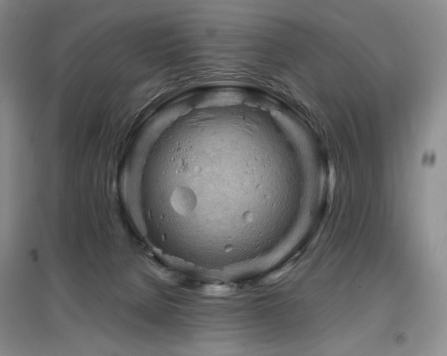 X0000097650080200802291500