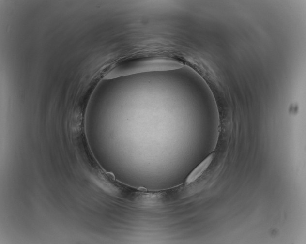 X0000097650081200802291500