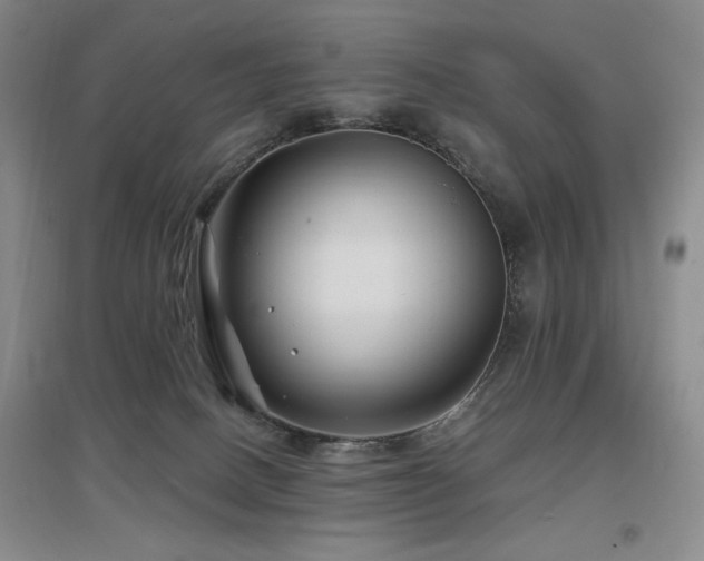 X0000097650082200802291500