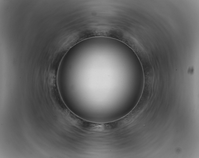 X0000097650083200802291500