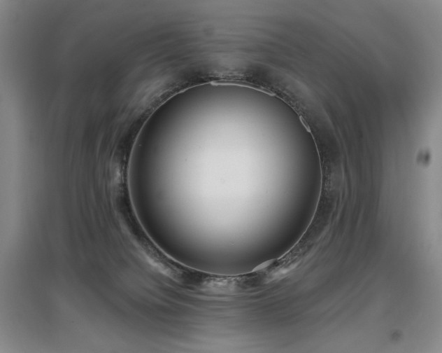 X0000097650084200802291500