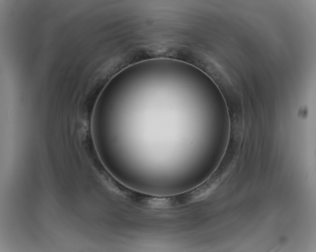 X0000097650085200802291500