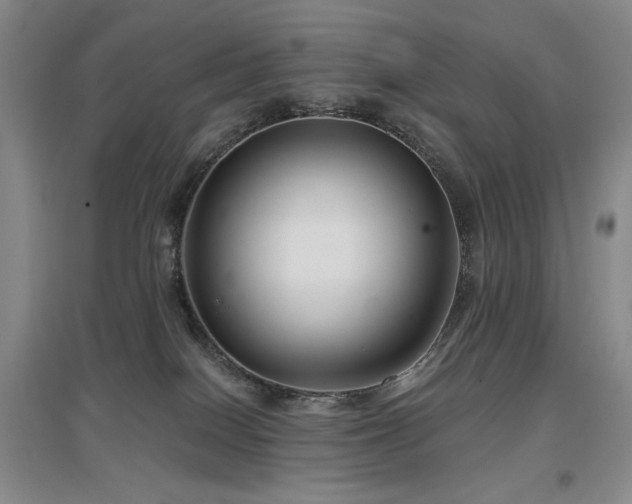 X0000097650086200802291500