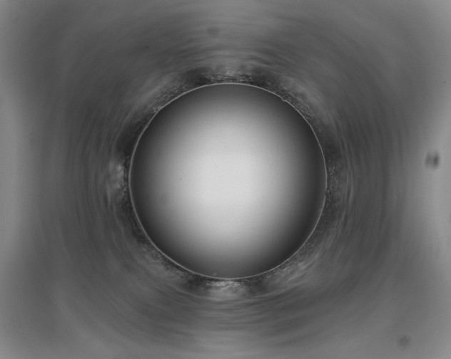 X0000097650087200802291500