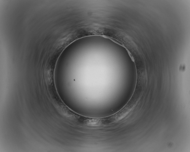 X0000097650088200802291500