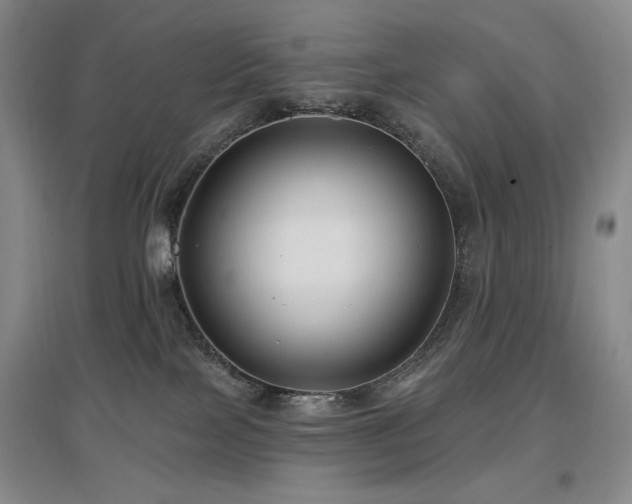 X0000097650089200802291500