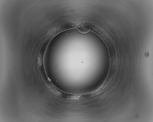 X0000097650090200802291500