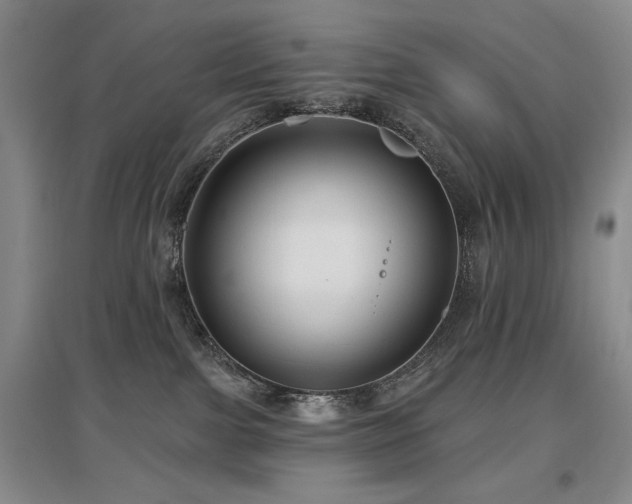 X0000097650091200802291500