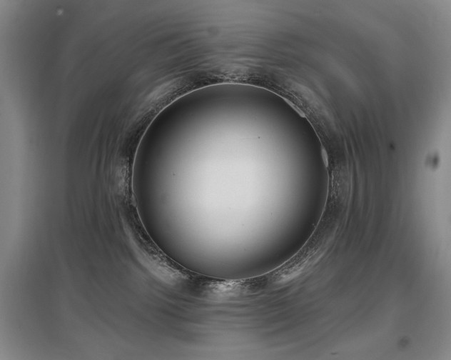 X0000097650092200802291500